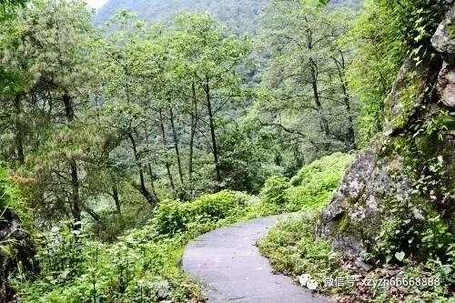 京东旗下京喜拼拼裁员 10%-15％ ，这次裁员传递出行业哪些信息？